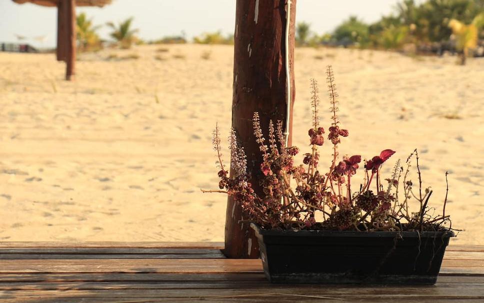 Imagem 20 do imóvel